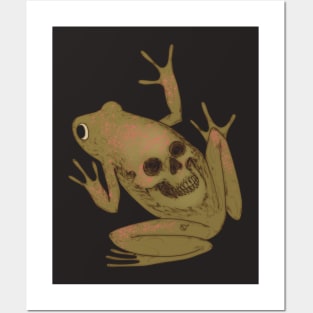 The frog Posters and Art